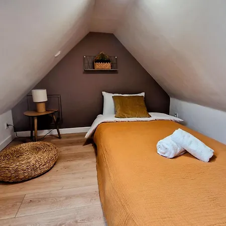 Cosy Color Apartament